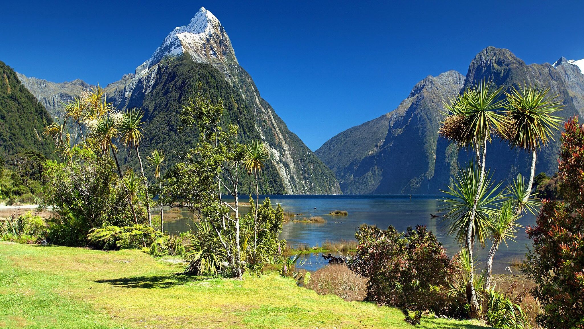 UK to New Zealand removals – Milford Sound, New Zealand