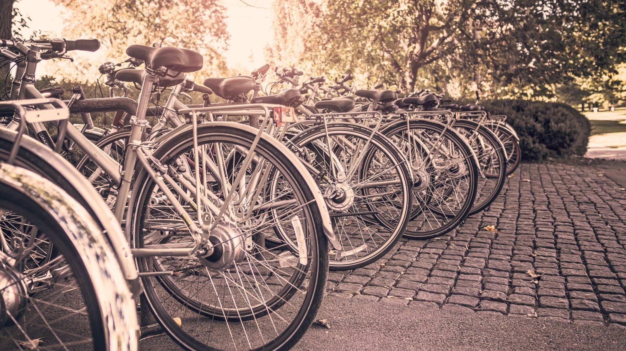 Bicycles in Amsterdam – UK to Netherlands removals